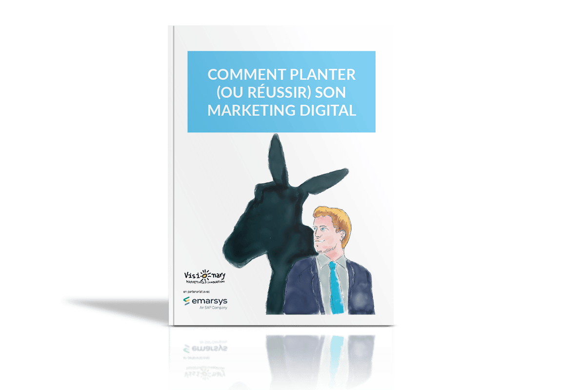 Ema Mockup Ebook Cover Ebook Fr Ebook Vertical 01