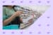 Blog Featured En Cpg Brands Winning 01