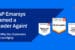 Blog Featured En G2 Summer 25